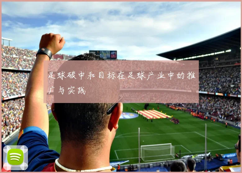 足球碳中和目标在足球产业中的推广与实践